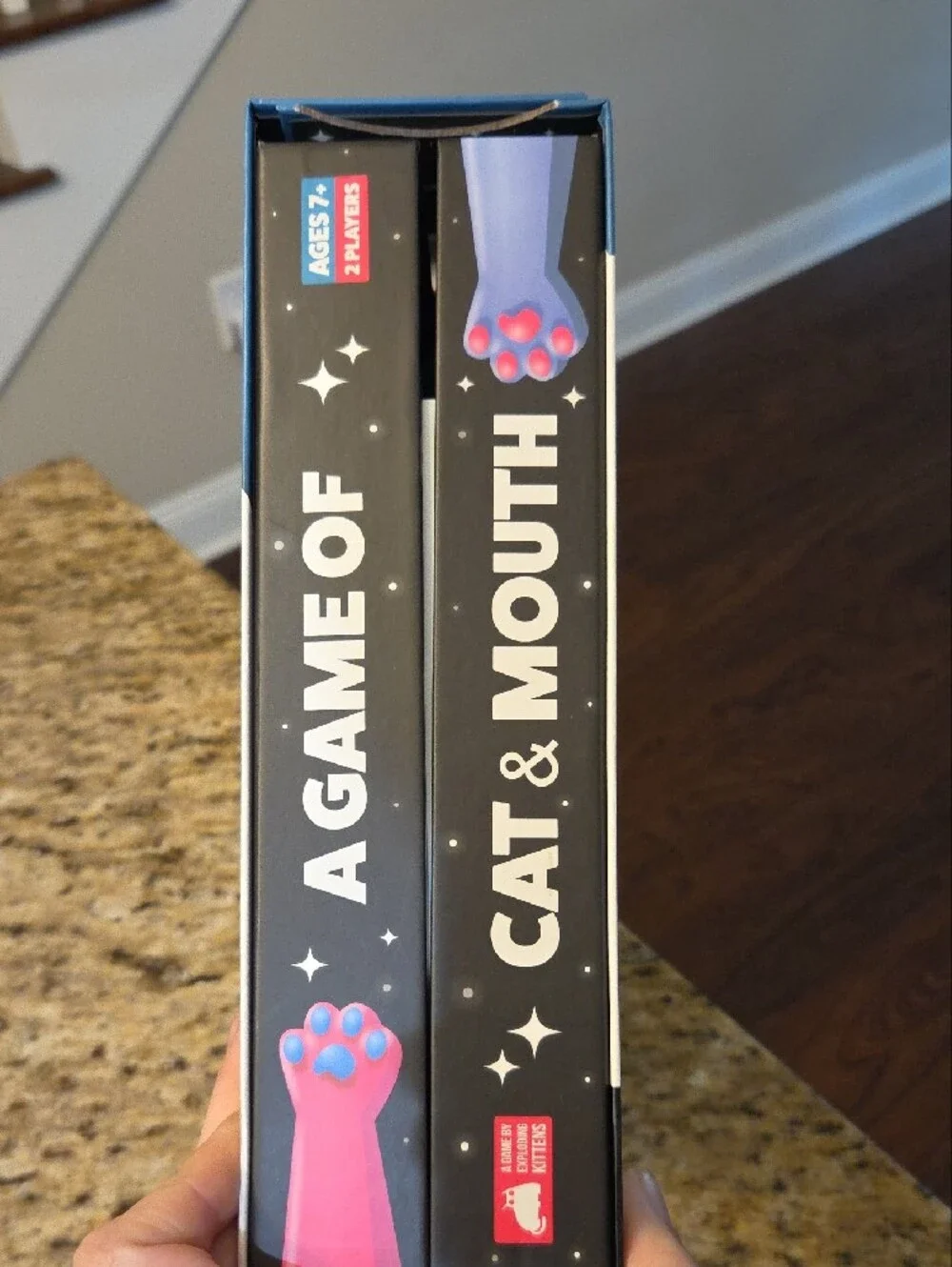A Game of Cat & Mouth Rainbow Pinball Game by Exploding Kittens